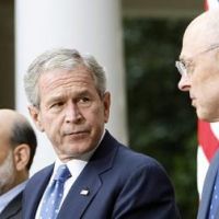 bush 1