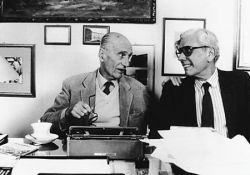 sacchi