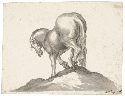 Cavallo visto da dietro, Giovanni Battista Foggini