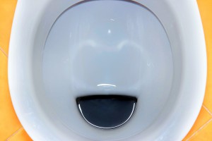 german-toilet-min