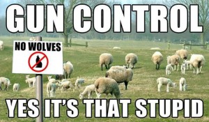 gun-control-yes-its-that-stupid